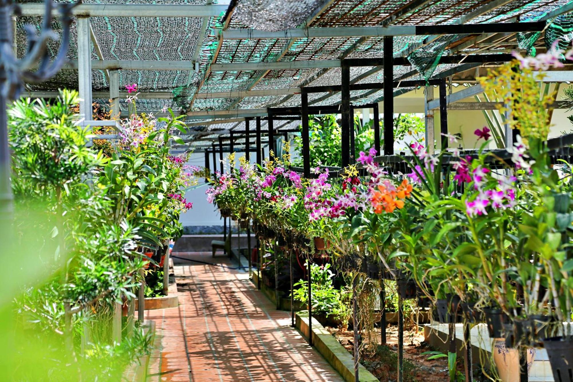 881 Lam Ha Pool Resort Phu Quoc Buitenkant foto